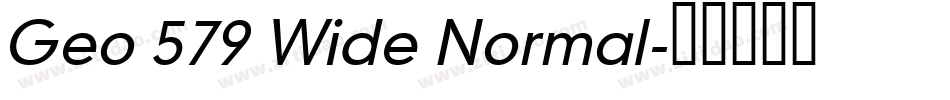 Geo 579 Wide Normal字体转换